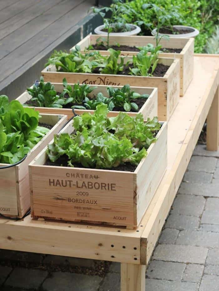 Small Space Vegetable Garden