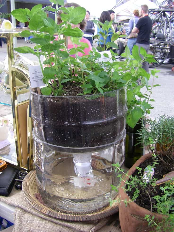Self-watering pot made from an old glass bottle