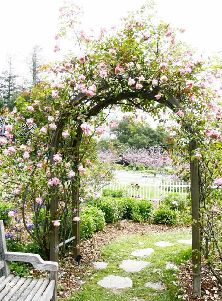 Beautiful rose archway into the garden