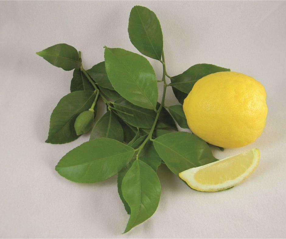 Villafranca Lemons
